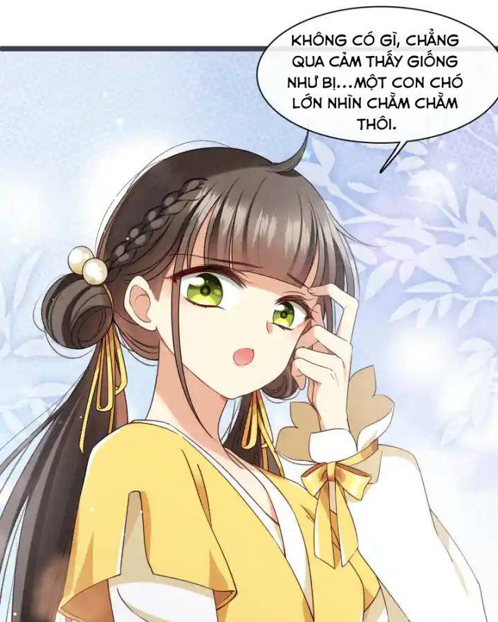 Nụ Cười Của Ngươi Ngọt Đến Mức Làm Gãy Tám Cái Răng Của Ta Chương 96 Ảnh 71