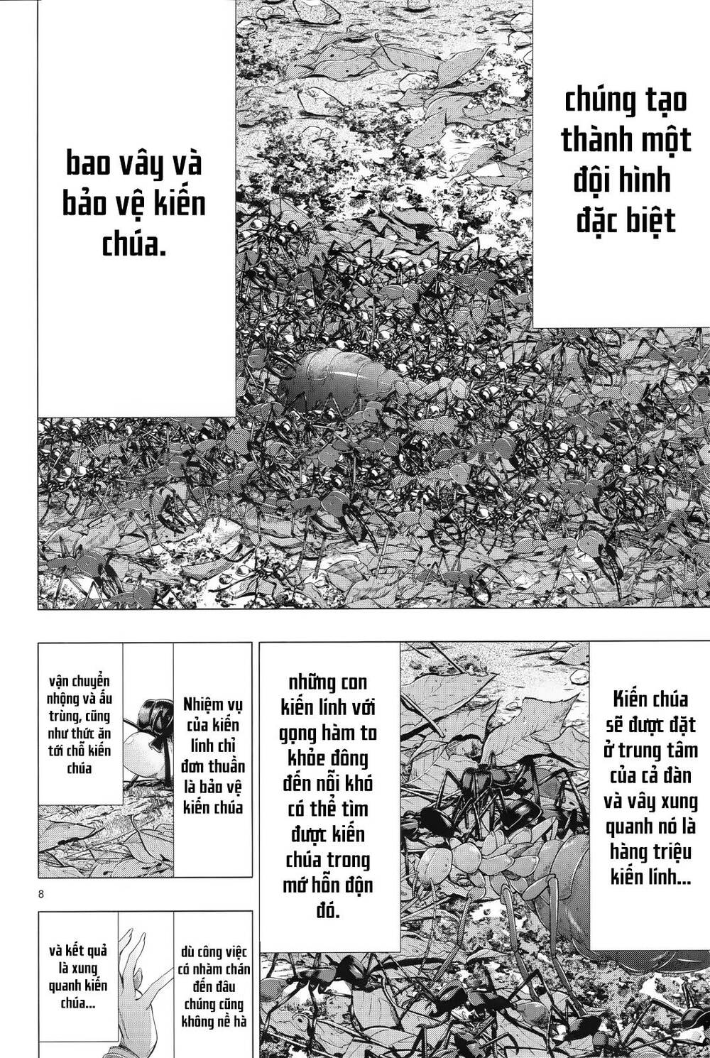 Himenospia Chương 31 Ảnh 9