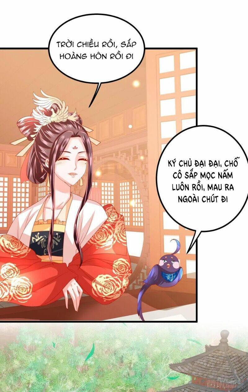 Ta Phải Làm Hoàng Hậu Chương 29 Ảnh 33