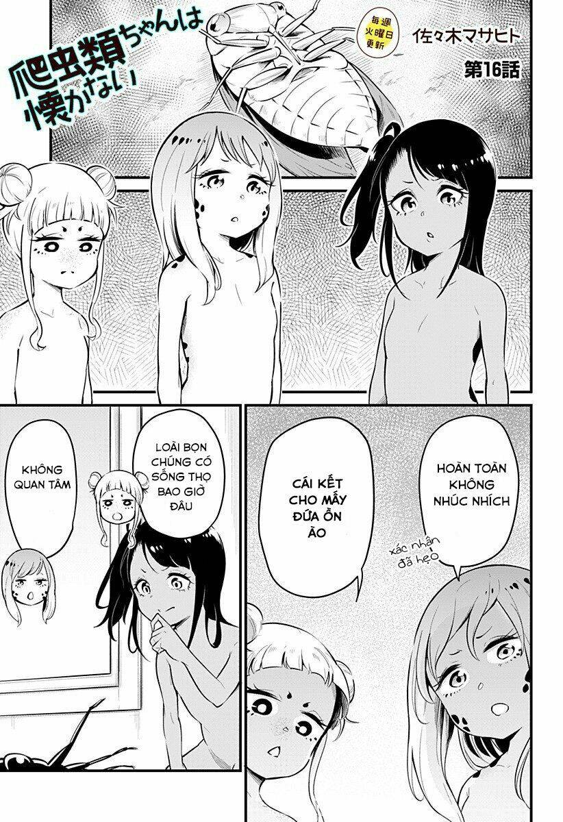 Hachuurui-Chan Wa Natsukanai Chương 16 Ảnh 2