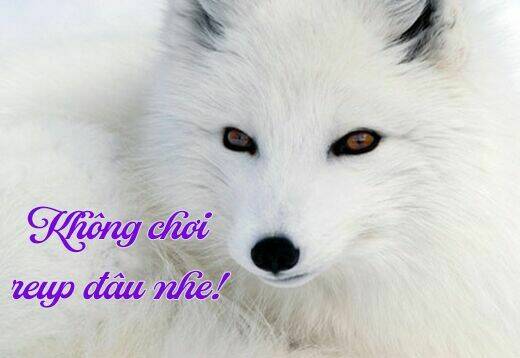 Ookami He No Yomeiri Chương 0 Ảnh 16