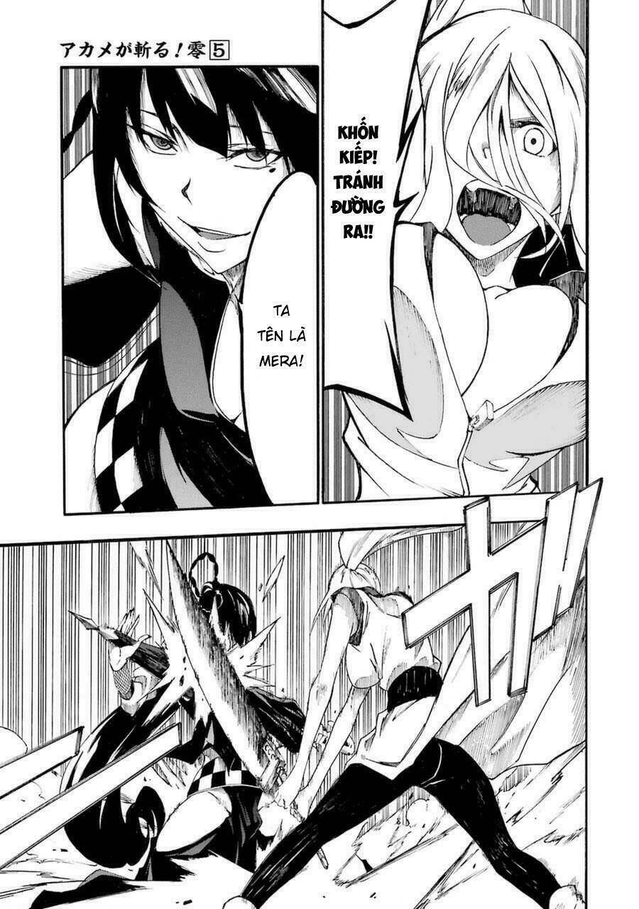 Akame Ga Kill! Zero Chương 31 Ảnh 5