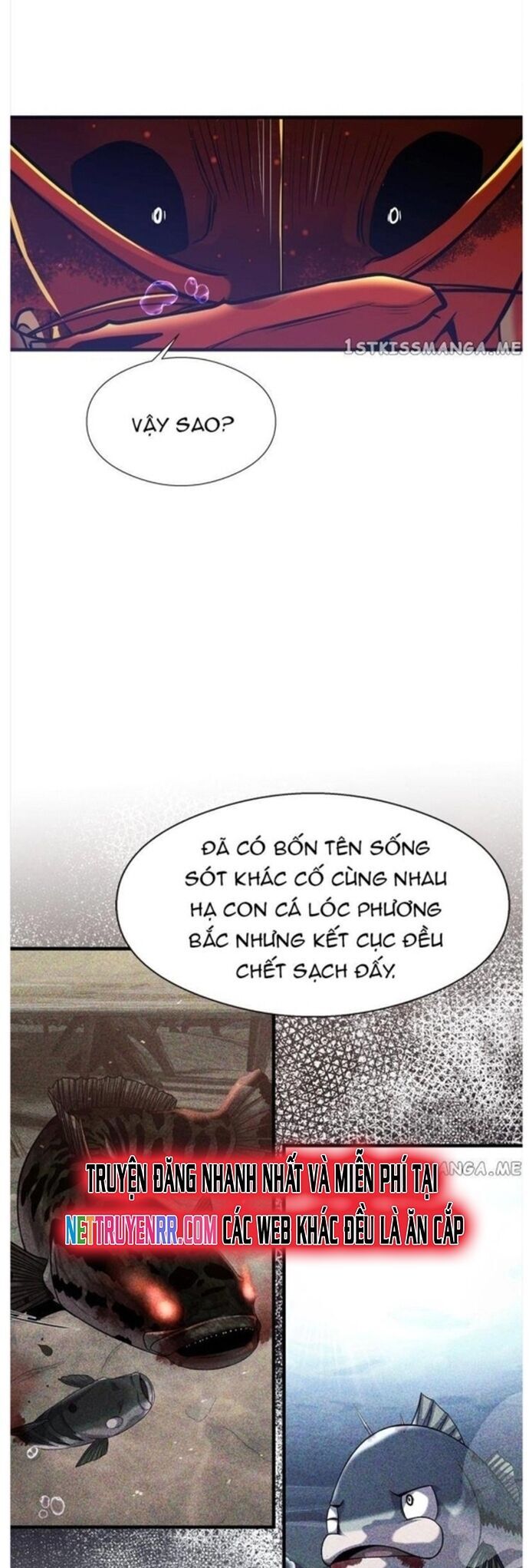 Hoá Thân Thành Cá Chương 50 Ảnh 26