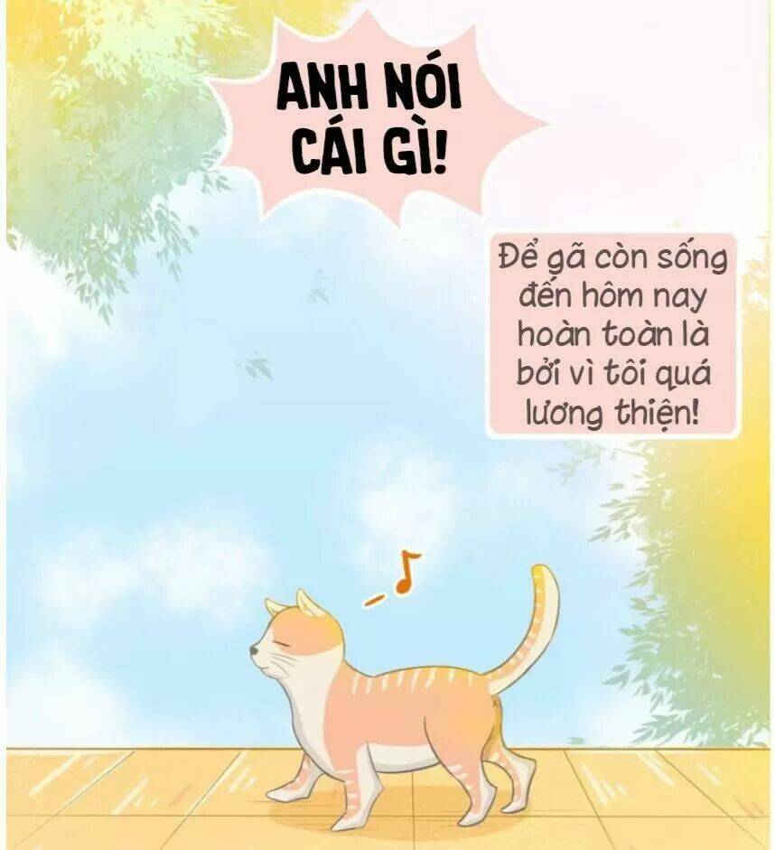 Anh Không Thích Thế Giới Này, Anh Chỉ Thích Em Chương 36 Ảnh 10