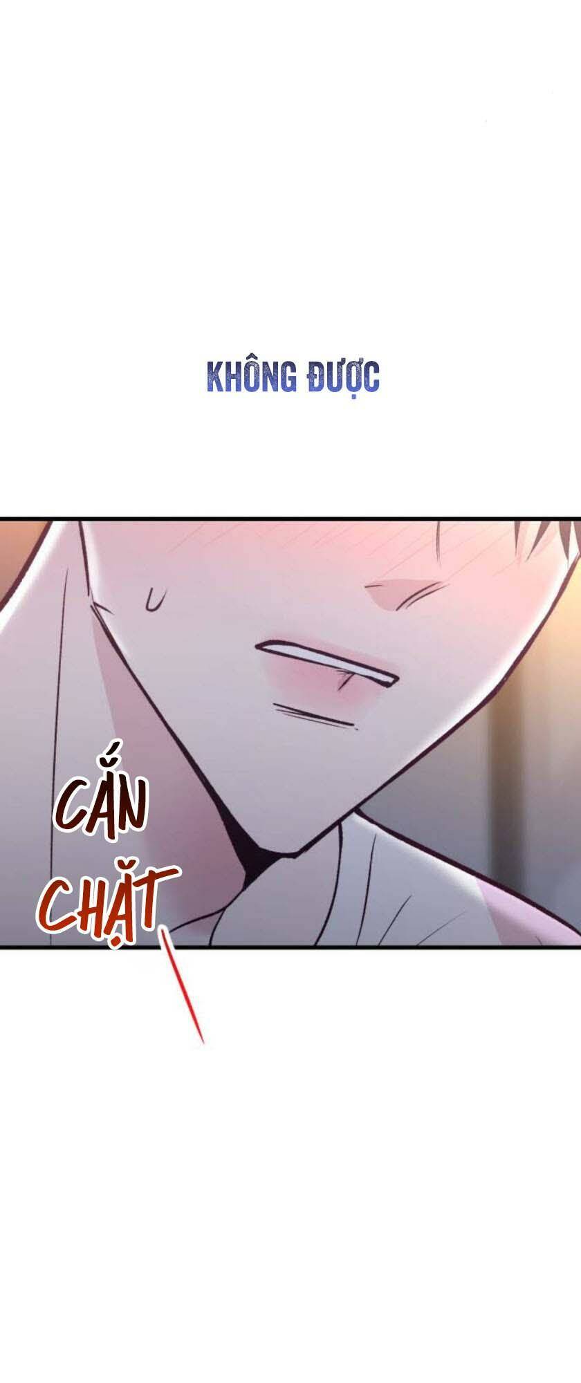 Tình Cờ Ta Gặp Nhau Chương 26 Ảnh 76