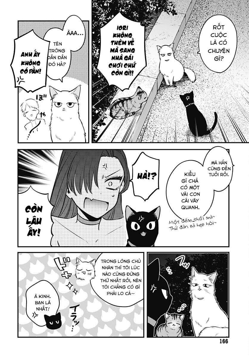 Mii-Chan Muốn Được Nhận Nuôi! Chương 9 Ảnh 5