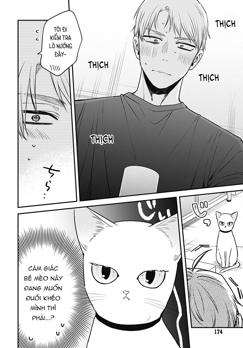 Mii-Chan Muốn Được Nhận Nuôi! Chương 9 Ảnh 13