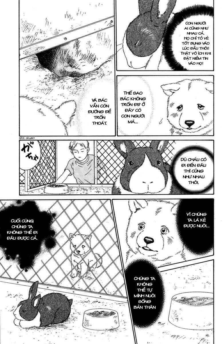 Deep Love - Pao No Monogatari Chương 7 Ảnh 45