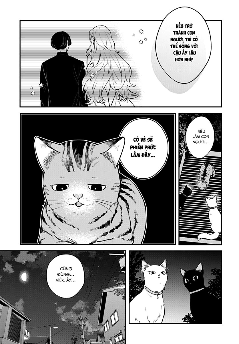 Mii-Chan Muốn Được Nhận Nuôi! Chương 17 Ảnh 5