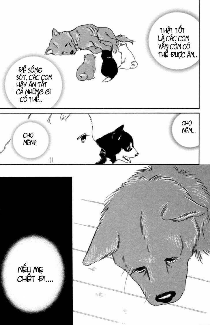 Deep Love - Pao No Monogatari Chương 1 Ảnh 21