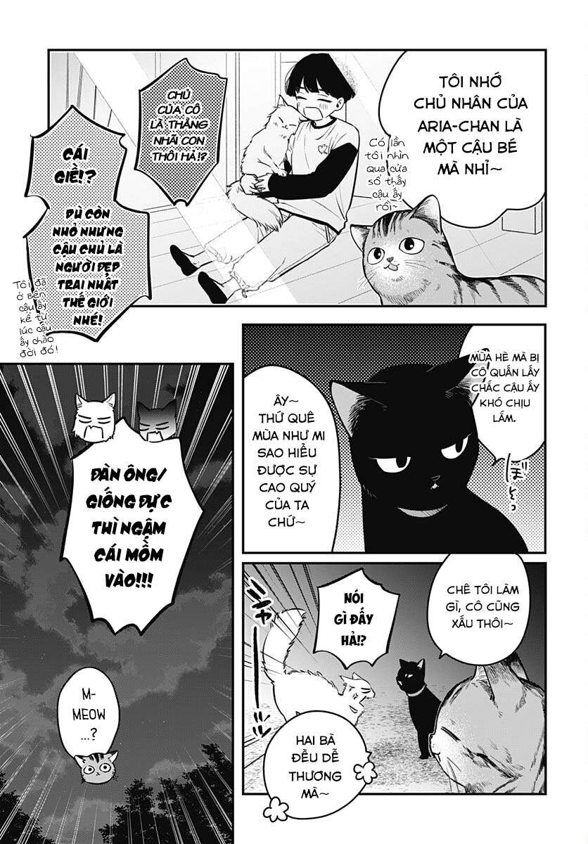 Mii-Chan Muốn Được Nhận Nuôi! Chương 9 Ảnh 6