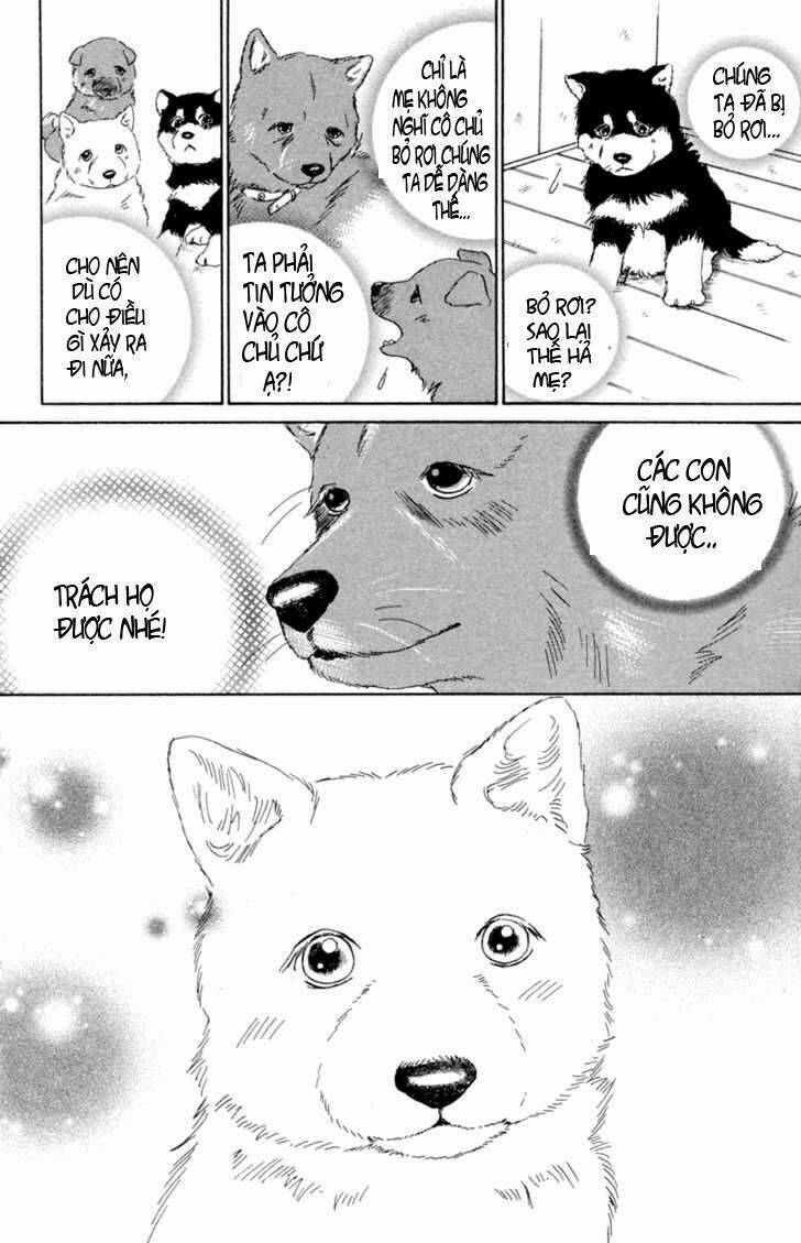 Deep Love - Pao No Monogatari Chương 1 Ảnh 20