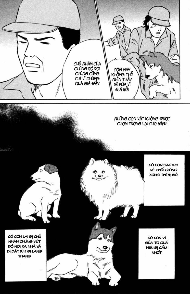 Deep Love - Pao No Monogatari Chương 5 Ảnh 19