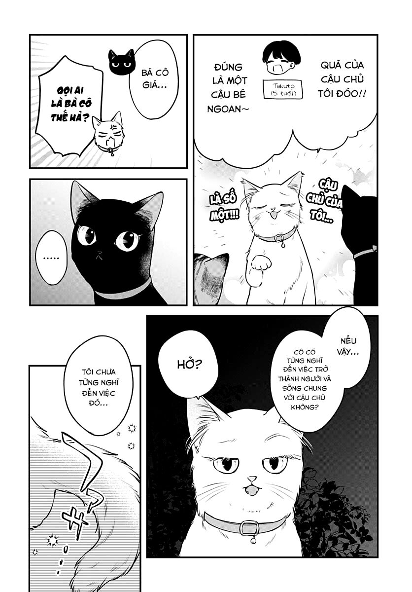 Mii-Chan Muốn Được Nhận Nuôi! Chương 17 Ảnh 4