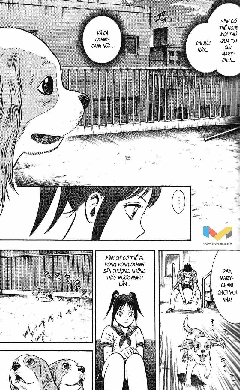 Animal Sense Chương 5 Ảnh 23