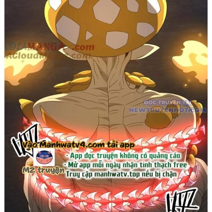 Ma Tu Tái Sinh: Khởi Đầu Nhặt Được Một Hành Tinh Zombie Chương 27 Ảnh 95