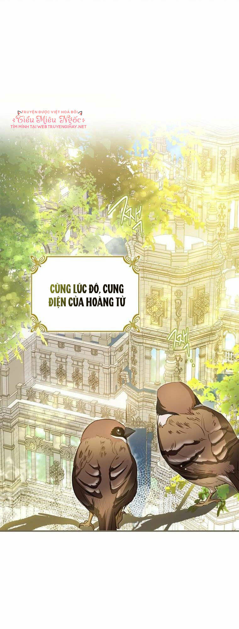 Đã Bảo Nữ Chính Đang Cải Trang Cơ Mà! Chương 26 Ảnh 22
