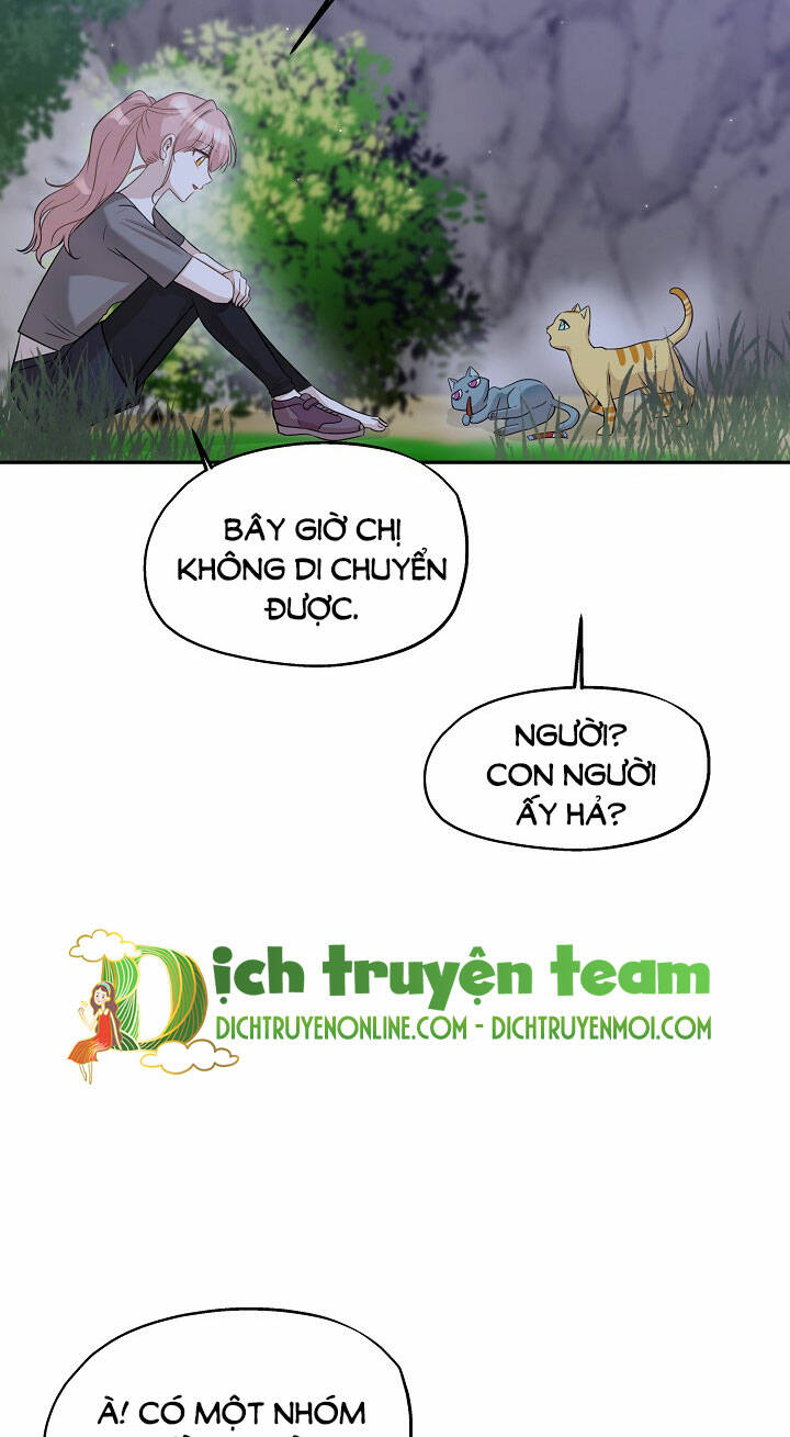 Cuộc Sống Kỳ Thú Chương 97 Ảnh 18