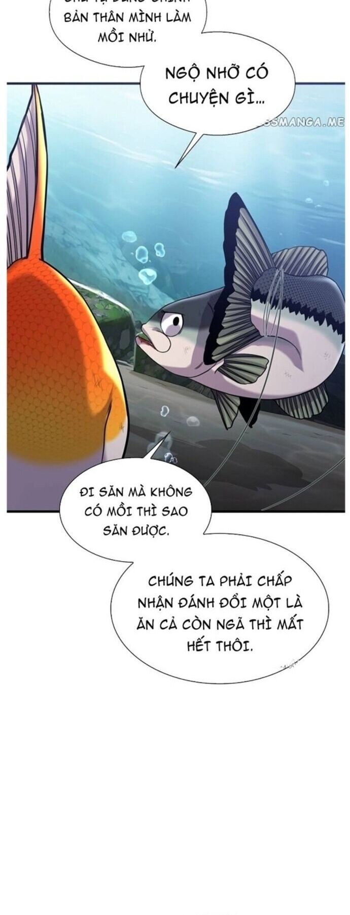 Hoá Thân Thành Cá Chương 45 Ảnh 25