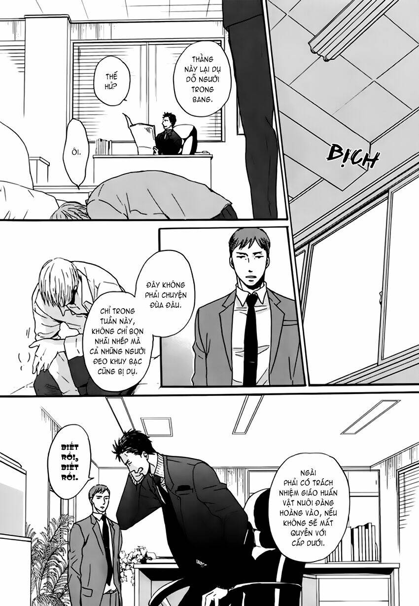 Saezuru Tori Wa Habatakanai Chương 10 Ảnh 6