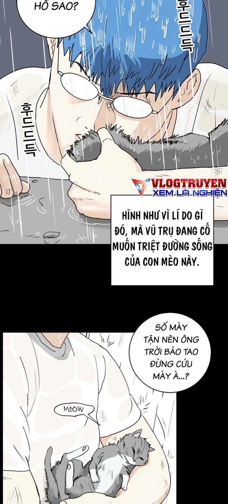Con Mèo Đô Vật Của Tôi Chương 1 Ảnh 18