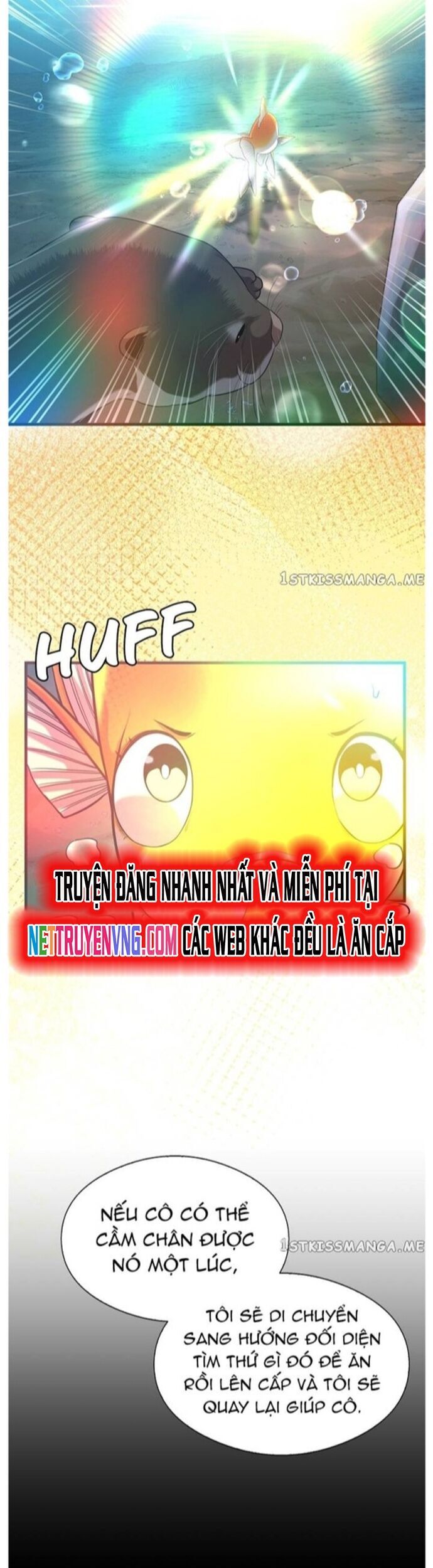Hoá Thân Thành Cá Chương 51 Ảnh 16
