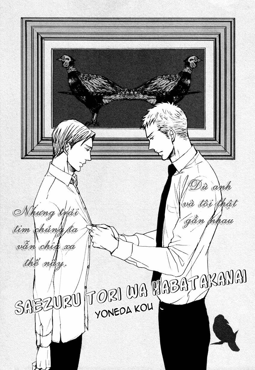 Saezuru Tori Wa Habatakanai Chương 6 Ảnh 4