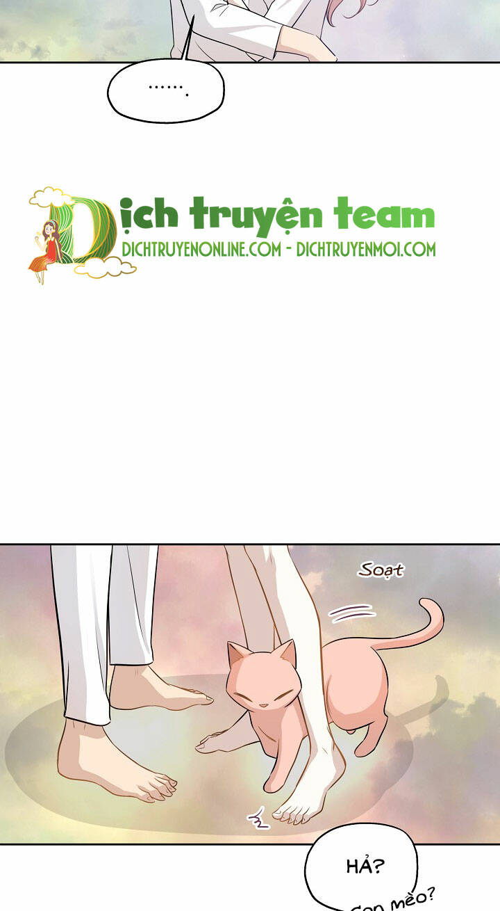 Cuộc Sống Kỳ Thú Chương 97 Ảnh 61