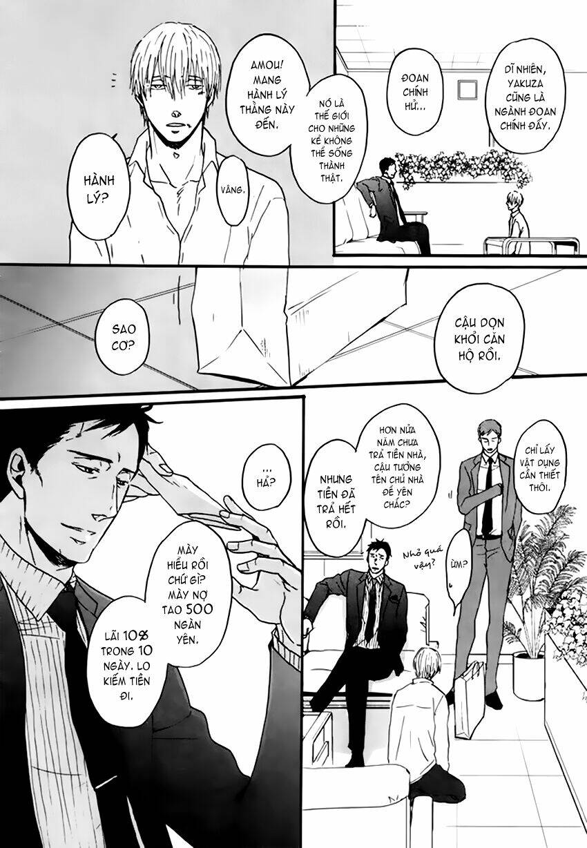 Saezuru Tori Wa Habatakanai Chương 10 Ảnh 11