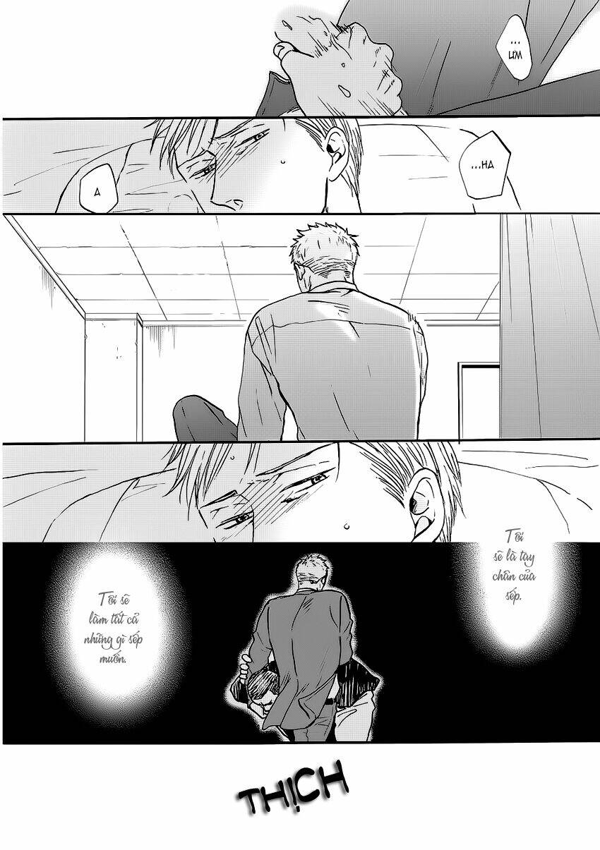 Saezuru Tori Wa Habatakanai Chương 13 Ảnh 12