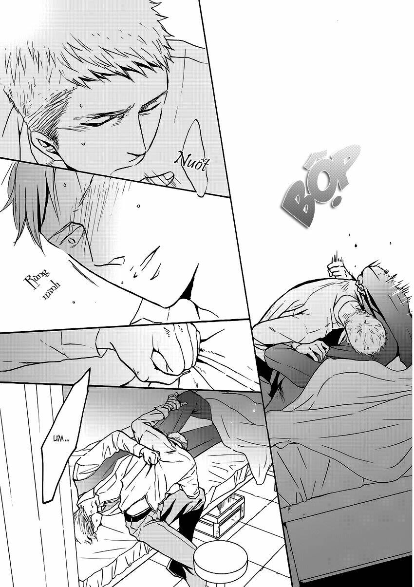 Saezuru Tori Wa Habatakanai Chương 13 Ảnh 15