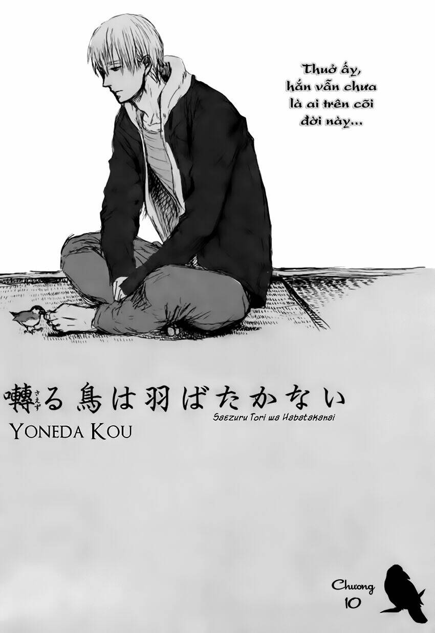 Saezuru Tori Wa Habatakanai Chương 10 Ảnh 4