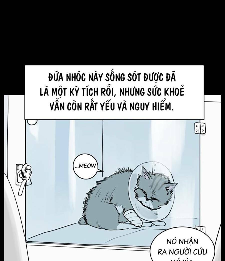 Con Mèo Đô Vật Của Tôi Chương 1 Ảnh 24