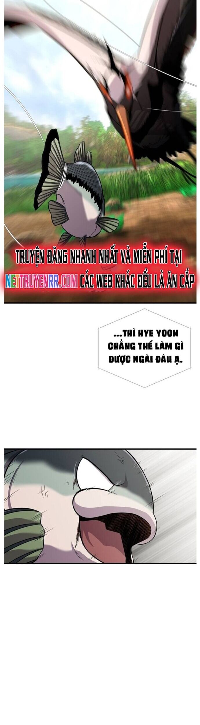Hoá Thân Thành Cá Chương 45 Ảnh 47