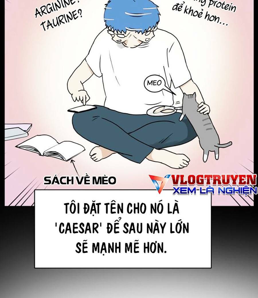 Con Mèo Đô Vật Của Tôi Chương 1 Ảnh 26