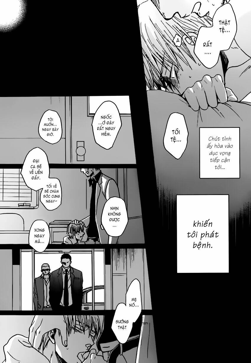 Saezuru Tori Wa Habatakanai Chương 10 Ảnh 20