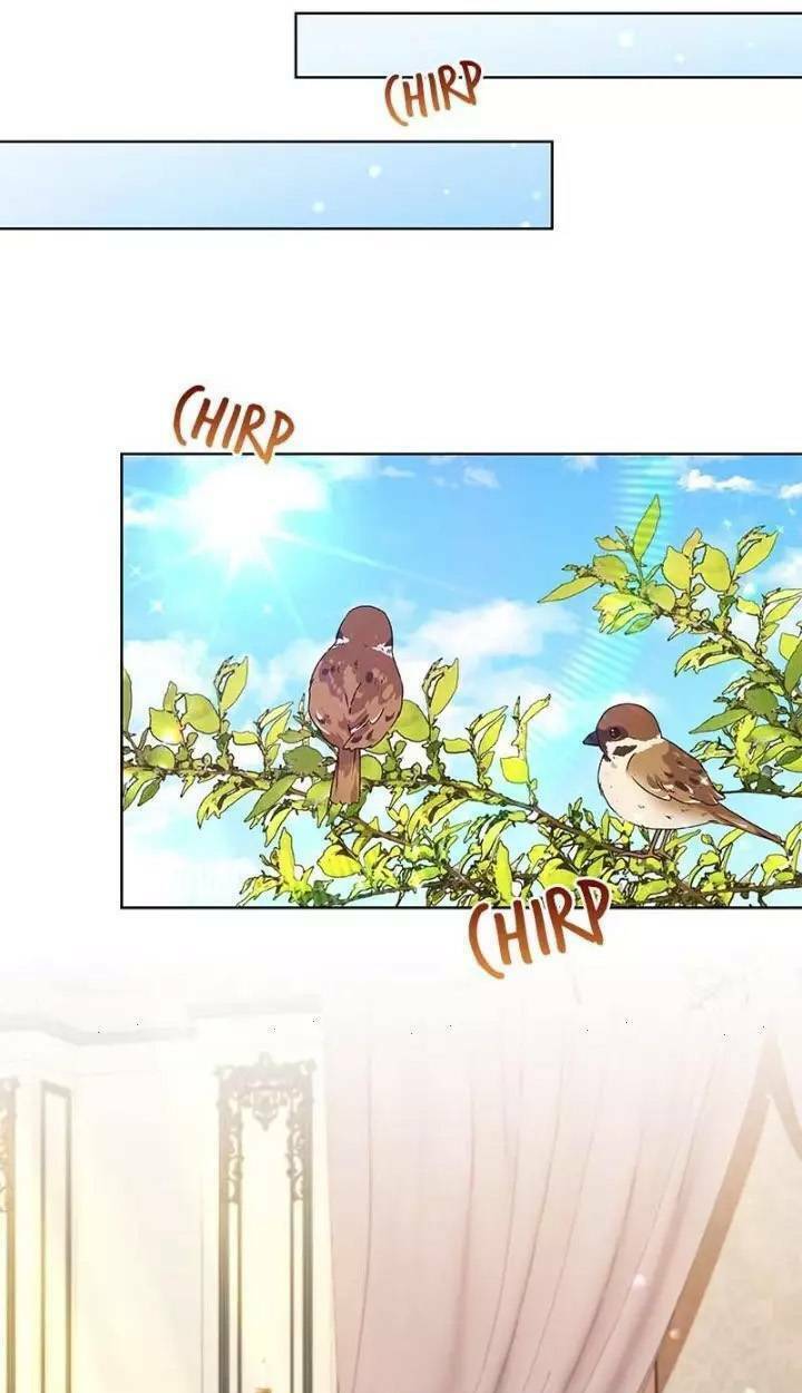 Công Tước Ác Quỷ Không Ngủ Được Chương 48 Ảnh 58