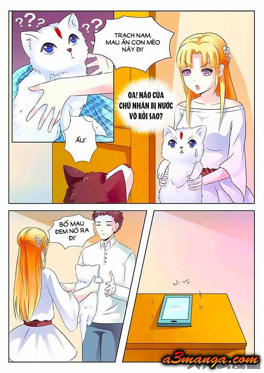 Mau Lấy Con Mèo Đó Ra Chương 2 Ảnh 6