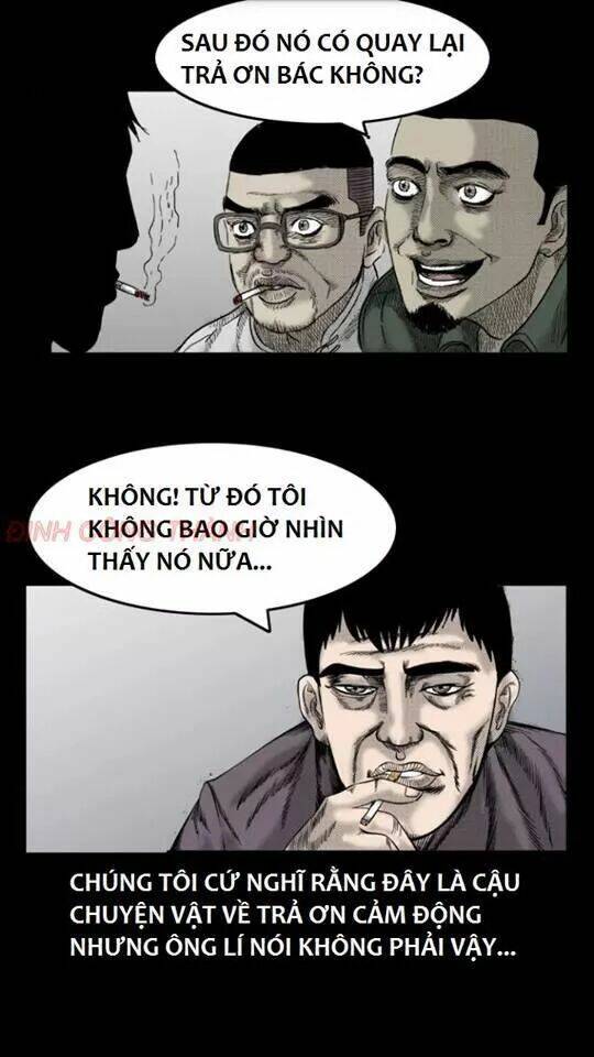Thầy Súng Kể Chuyện Ma Chương 36 Ảnh 11