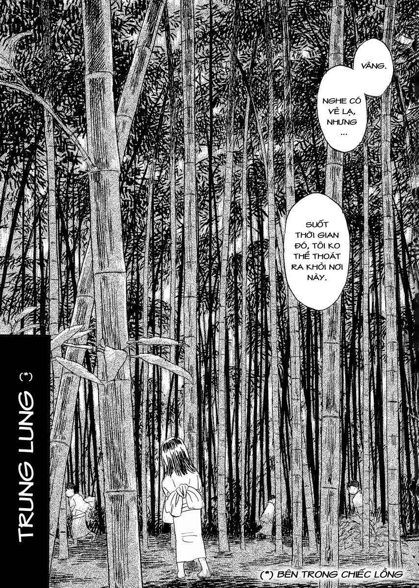 Mushishi Chương 19 Ảnh 5
