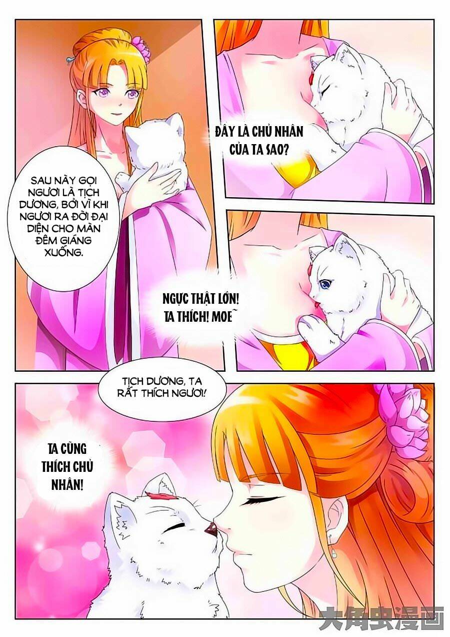 Mau Lấy Con Mèo Đó Ra Chương 2 Ảnh 8