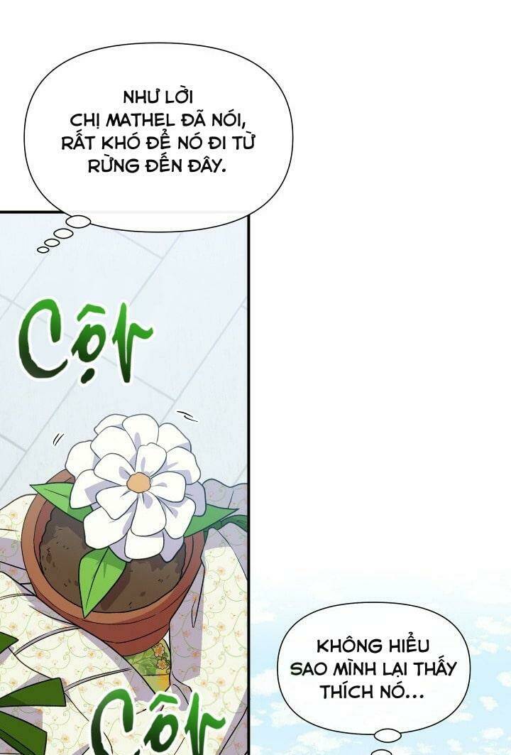 Khế Ước Của Nữ Công Tước Quái Vật Chương 132 Ảnh 9