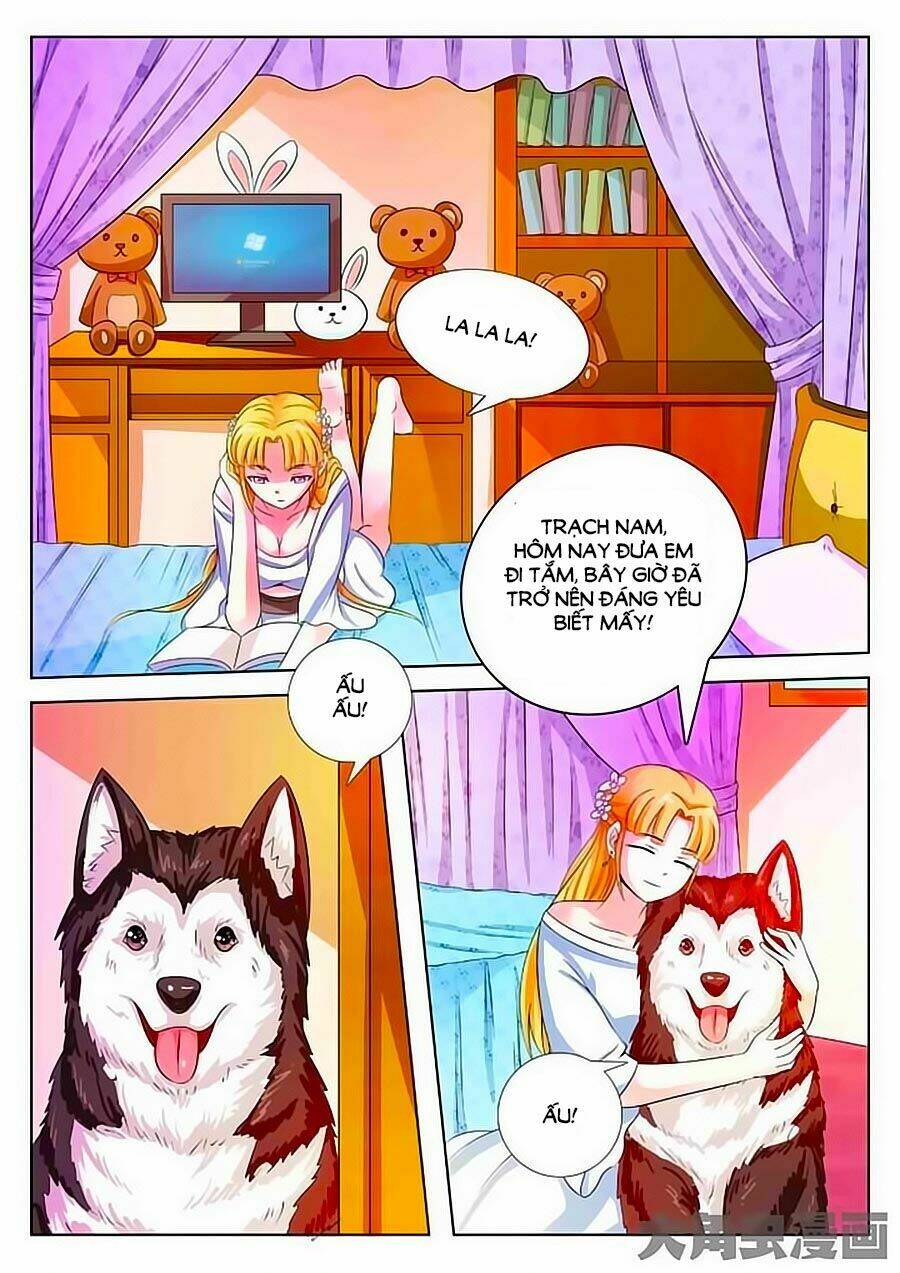 Mau Lấy Con Mèo Đó Ra Chương 1 Ảnh 16