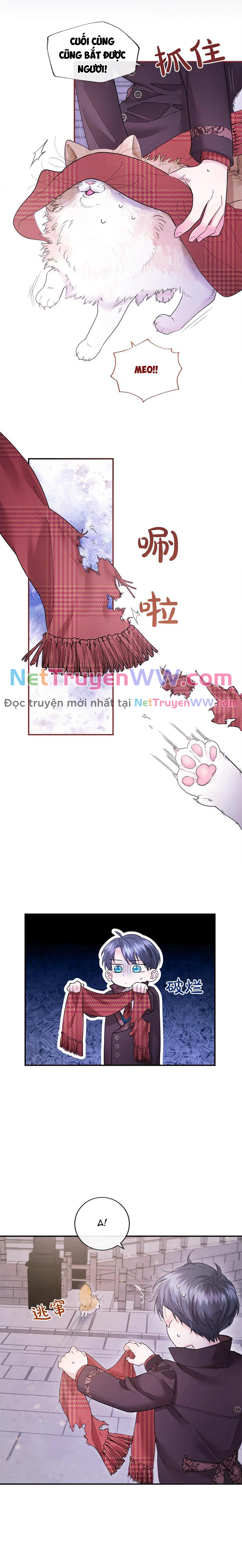 Mẹ Kế Bất Tài Được Gia Đình Yêu Quý! Chương 18 Ảnh 13