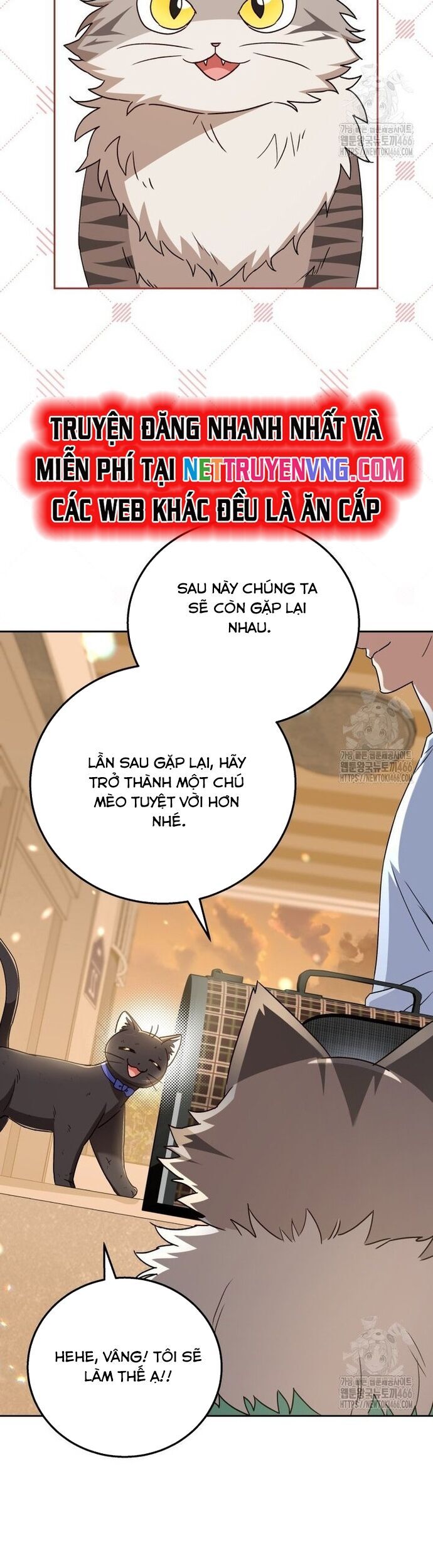 Xin Chào! Bác Sĩ Thú Y Chương 78 Ảnh 16