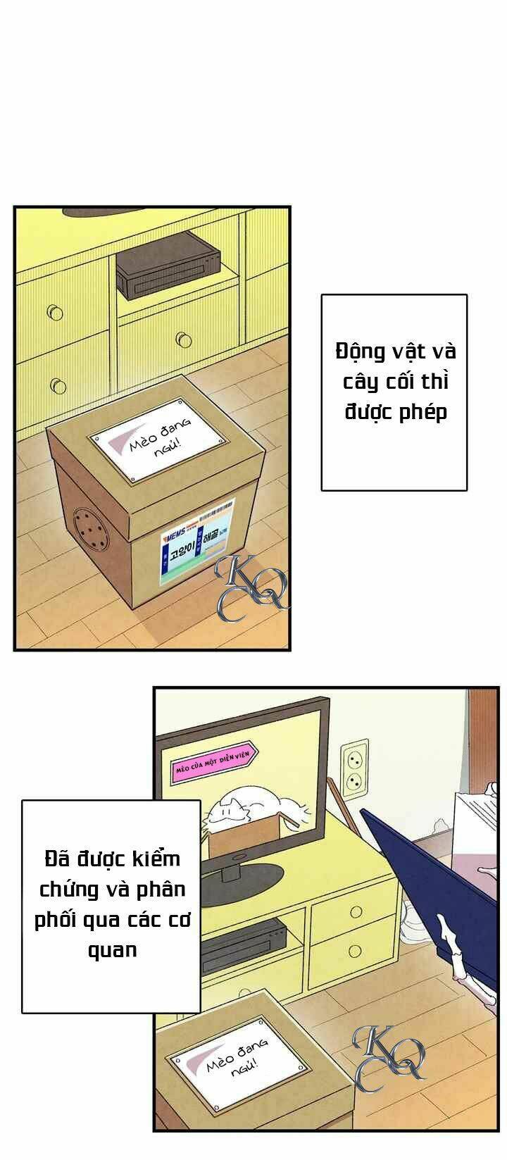 Biến Đổi - Metamorphosis Chương 1 Ảnh 49