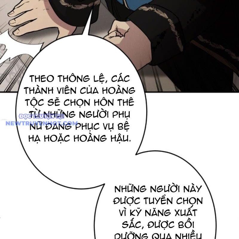 Người Điều Khiển Trò Chơi Chương 38 Ảnh 18