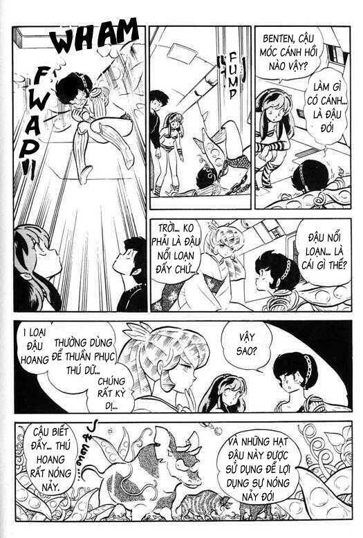 Lum Chương 317 Ảnh 10
