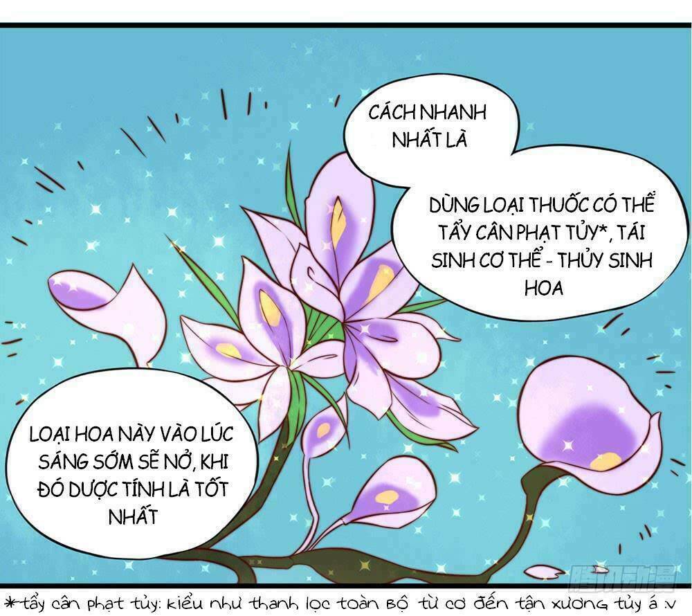 Hướng Dẫn Sau Kết Hôn Của Vương Phi Chương 17 Ảnh 26
