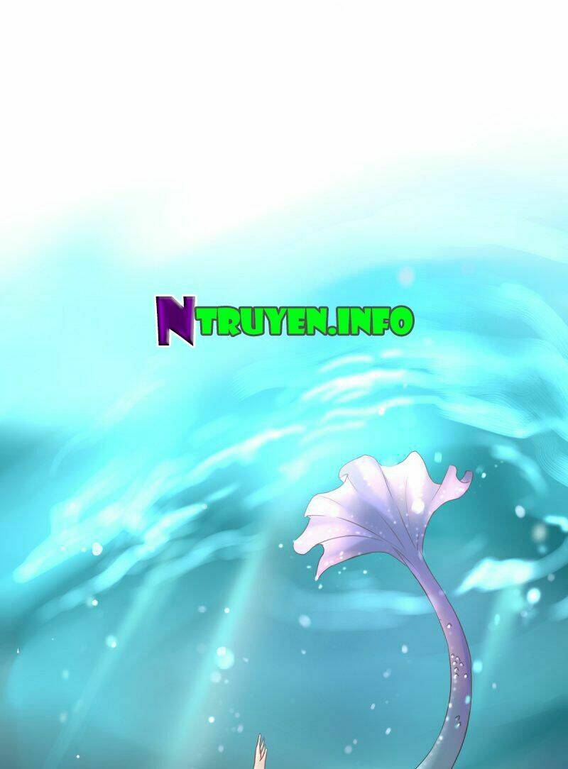Nước Mắt Người Cá Chương 1 Ảnh 30